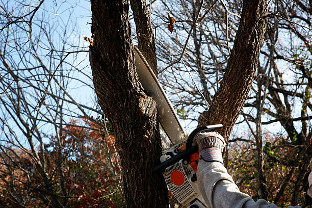 Soil Testing and Treatment in Oberlin, LA